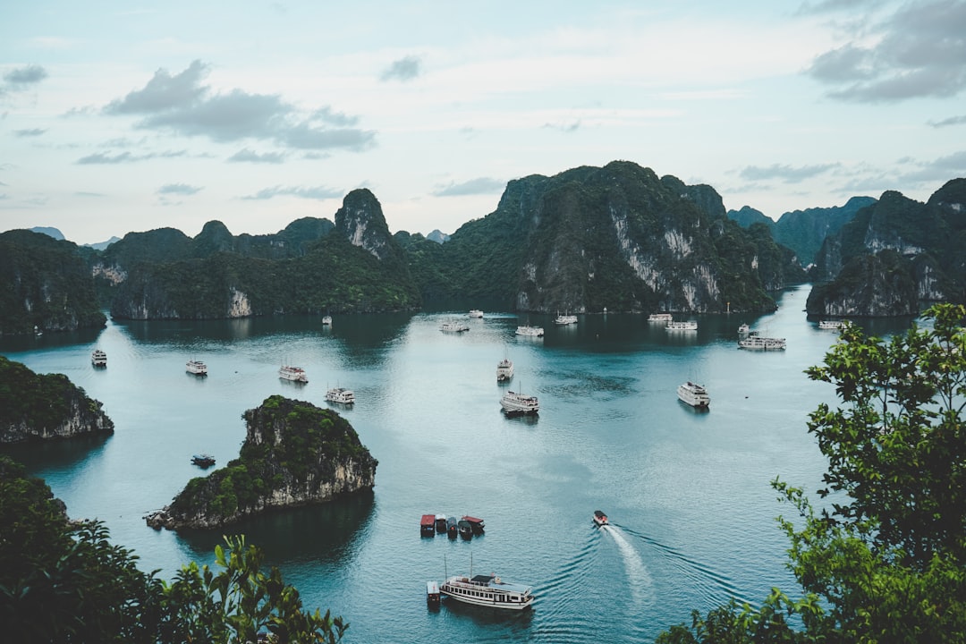 Vietnam Citizenship: Your Complete Guide to Requirements and Process
