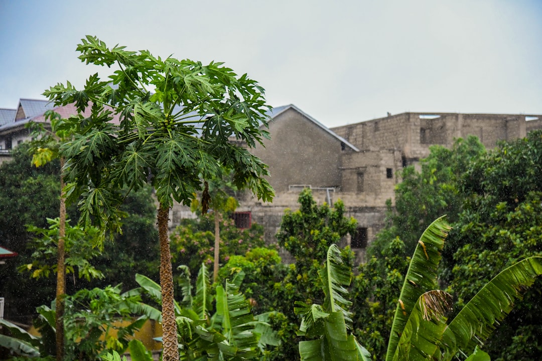 Democratic Republic of the Congo Tax Residency: Your Complete Guide to Becoming a Resident