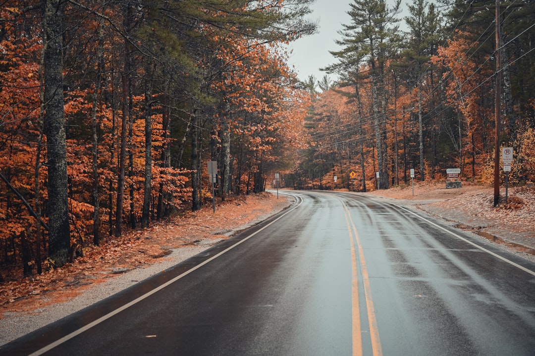 New Hampshire Tax Residency: Your Complete Guide to Becoming a Resident