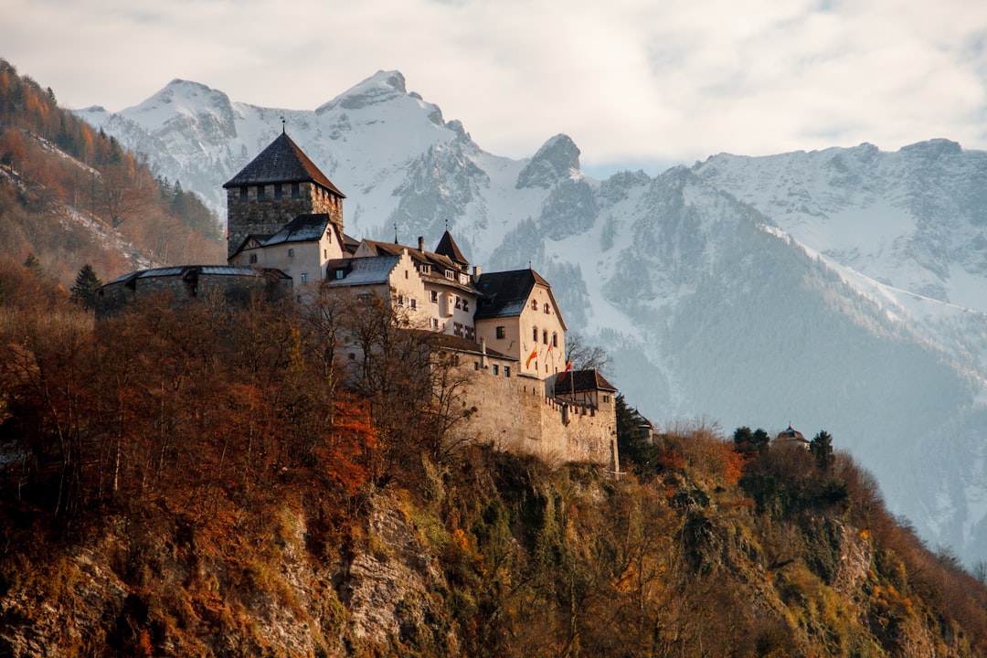Liechtenstein Citizenship: Your Complete Guide to Requirements and Process