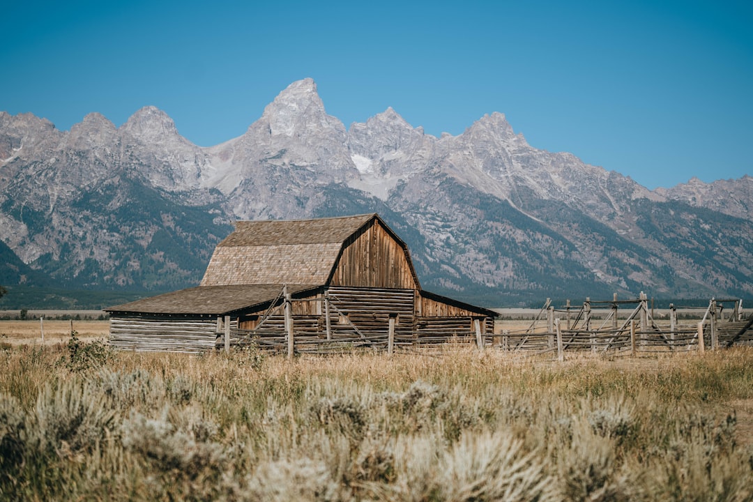 Wyoming Tax Residency: Your Complete Guide to Becoming a Resident
