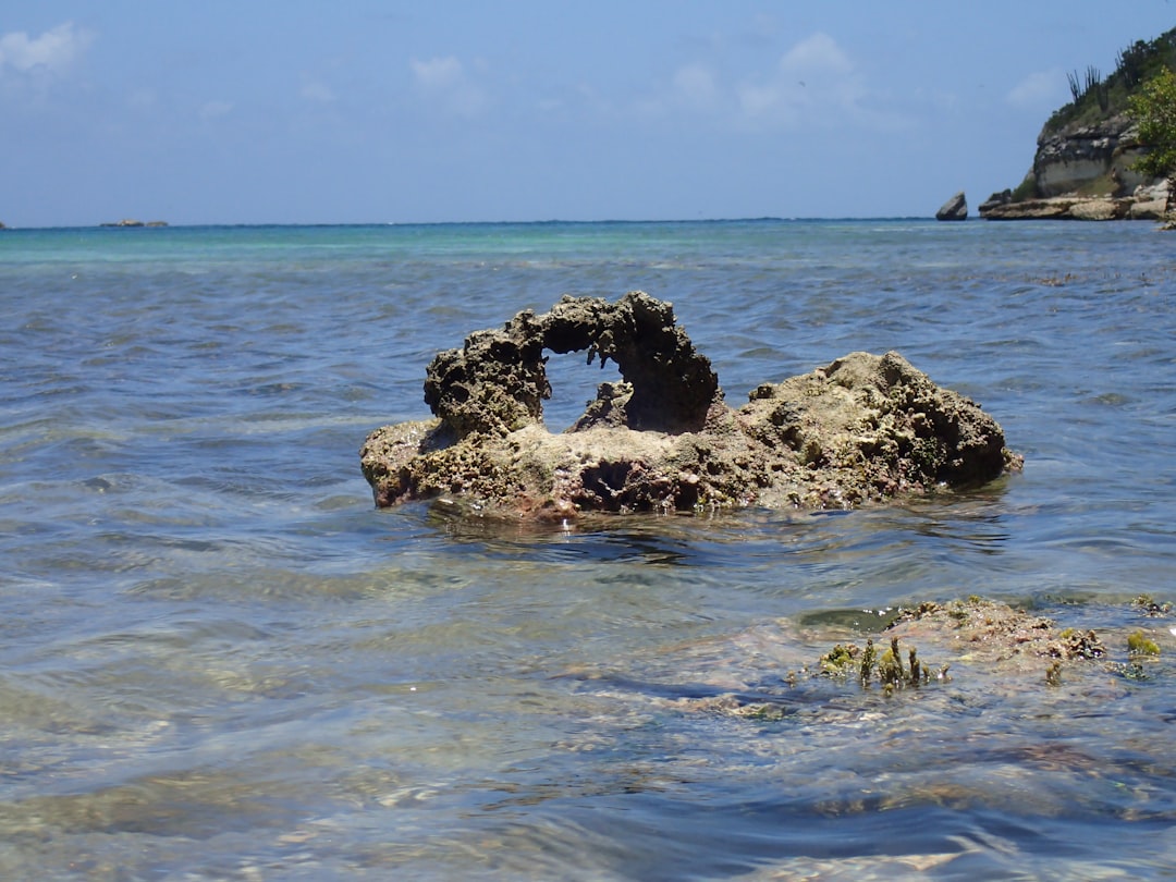 Antigua and Barbuda Citizenship: Your Complete Guide to Requirements and Process