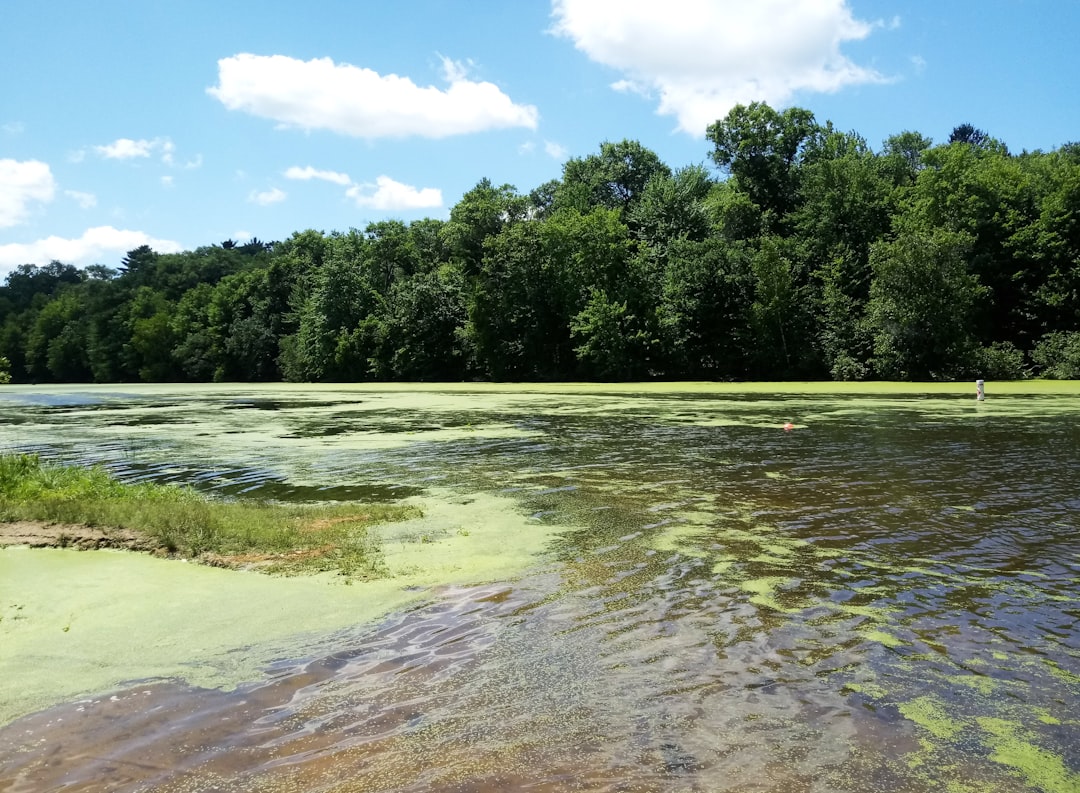 Wisconsin Tax Residency: Your Complete Guide to Becoming a Resident